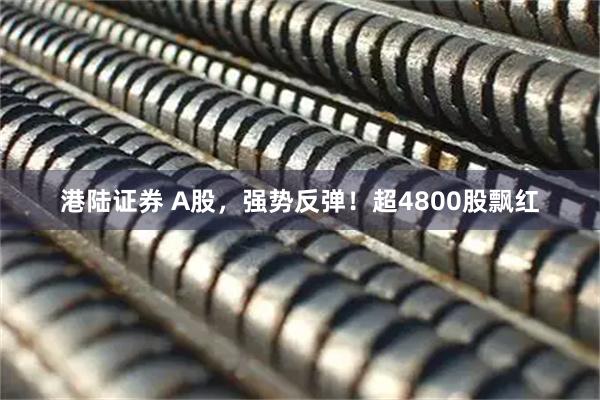 港陆证券 A股，强势反弹！超4800股飘红