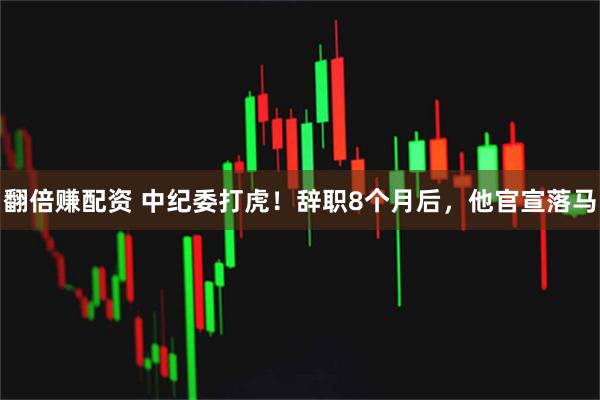 翻倍赚配资 中纪委打虎！辞职8个月后，他官宣落马