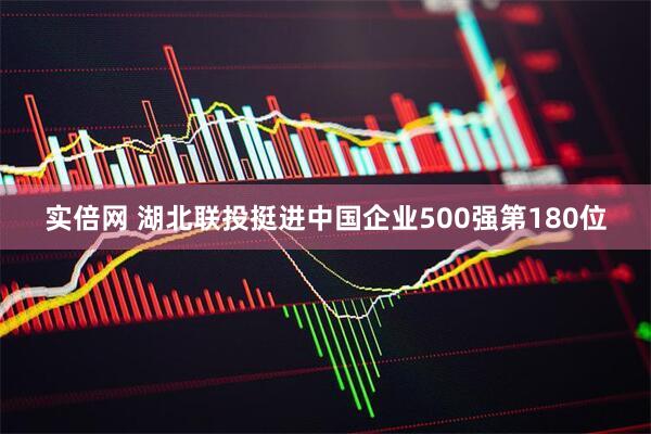 实倍网 湖北联投挺进中国企业500强第180位